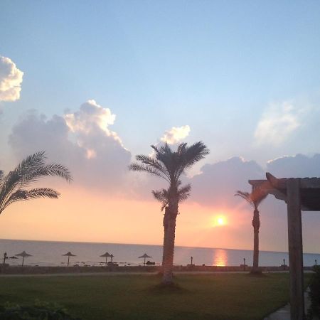 Beach Front Chalet 艾因苏赫纳 外观 照片